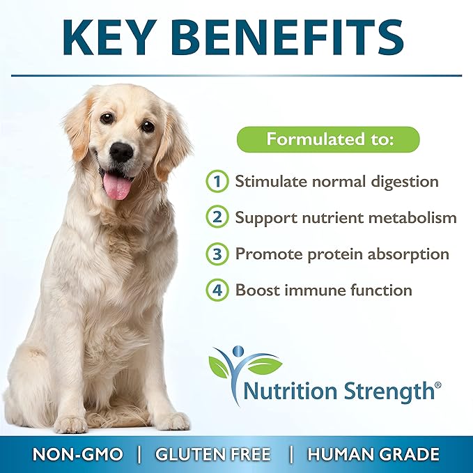 Papaya for Dogs Digestive Enzyme Complex to Support Normal Intestinal Function, Boost Immunity, with Organic Papaya Fruit + Papain, Protease & Amylase, 90 Soft Chews