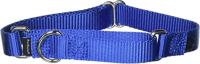 PetSafe Adjustable Martingale Collar - Only Tightens When Dogs Pull, Prevents Slipping Out - Helps with Strong Pullers, Increased Control - Alternative to Choke Collar - 3/4", Medium, Royal Blue