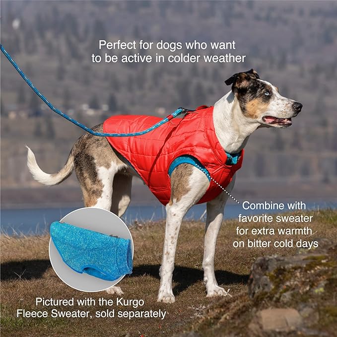 Kurgo Loft Dog Jacket, Reversible Winter Coat for Dogs, Wear with Harness or Sweater, Water Resistant, Reflective, for Small Medium Large Pets (Fall Festival, S)