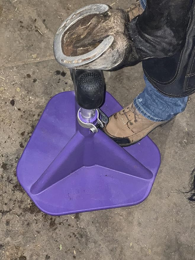 Blacksmith Standard Hoof Stand Purple