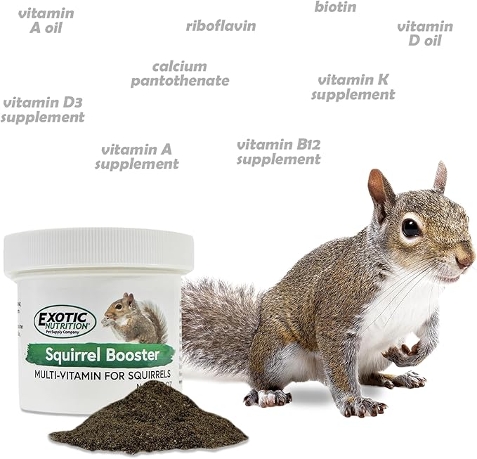 Squirrel Booster (2 oz.) - Complete Multivitamin - Powdered Vitamin & Mineral Supplement for Pet Squirrels