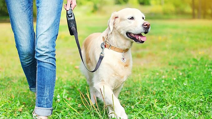 Service Dog Tag Double Sided Federal Protection with Red Medical Alert Symbol Pet ID Tags 1.25 inch. Easily attach to Collar Harness Vest Dog Service Tag