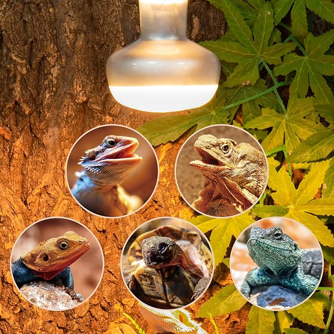 REPTI ZOO 2 Pack Heat Lamp 75W, Intense Basking Spot Simulated Natural Sunlight Heating Lamp Bulb, Heat Emitter UVA Heat Lamp Bulb for Reptile Chickens Pet Brooder