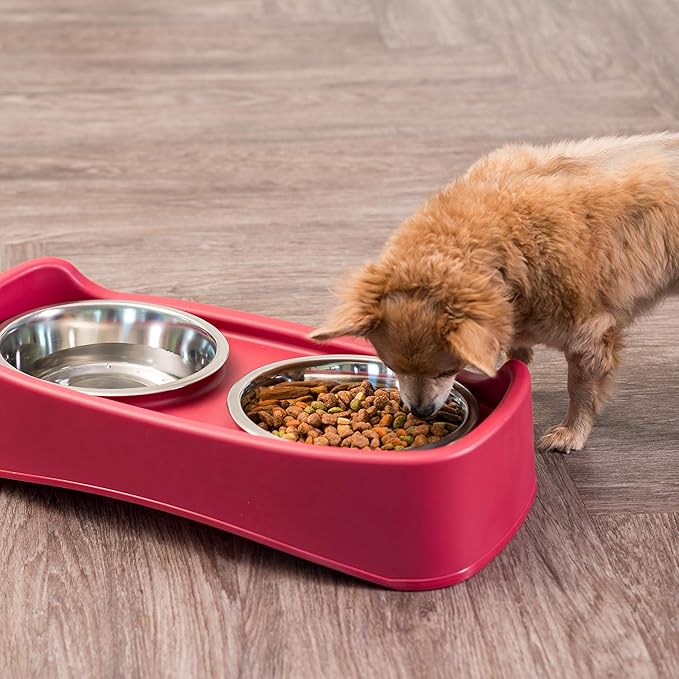 IRIS USA Elevated Dog Bowls, Adjustable Height, 2 Thick 64 oz Stainless Steel Bowls, Spill-Proof with Raised Outer Rim, Durable Made in USA Plastic, Easy Assemble, 2 Heights 4.63" or 12.25" Red