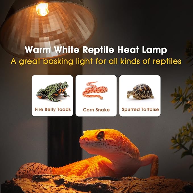 Briignite G9 Heat Lamp Bulbs for Reptile, Mini Reptile Light, Dimmable G9 Mini Heat Bulbs Warm White 50W, 2 Pin Base UVA Reptile Heat Lamp, Bearded Dragon Gecko Turtle Lizard, 6 Pack