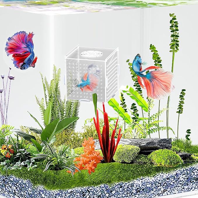 Acrylic Fish Breeding Box, Transparent Fish Isolation Box, Fish Separator for Aquarium, Hatchery Incubator with Suction Cups for Guppy Shrimp Clownfish African Cichlids (3.9 * 3.9 * 3.9inch)