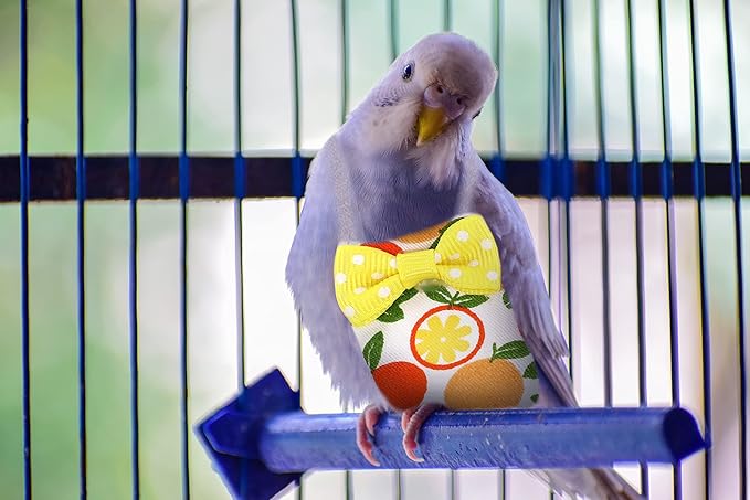 Bird Diaper Parrot Washable Diapers, Parrot Flight Suit, Reusable Nappies for Parakeet Cockatiel Mini Macaw Budgie Canary 2 Pcs