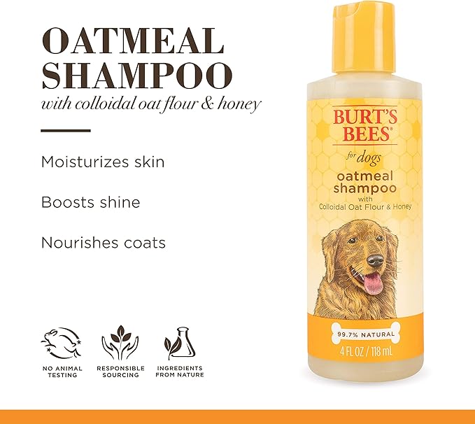 Burt's Bees for Pets Naturally Derived Oatmeal Shampoo with Colloidal Oat Flour and Honey - Oatmeal Dog Shampoo to Soothe and Cleanse Dogs Skin and Coats, 4 Fl Oz