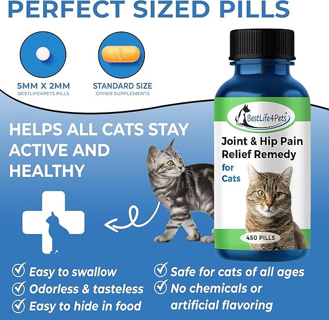 BestLife4Pets Cat Hip and Joint Supplement - Relief from Pain, Inflammation, and Injuries - Improve Mobility - No Odor or Taste - All Natural Easy to Use and Swallow - Pills