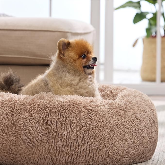 Bedsure Calming Dog Bed for Small Dogs - Donut Washable Small Pet Bed, 23 inches Anti-Slip Round Fluffy Plush Faux Fur Large Cat Bed, Fits up to 25 lbs Pets, Camel