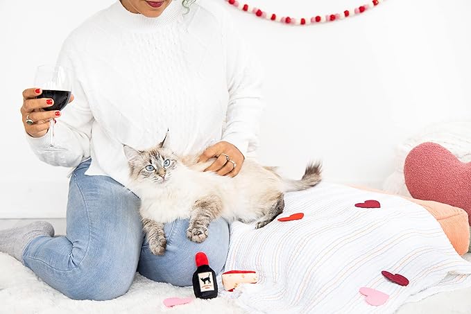 Pearhead Pet Cheese and Wine Plush Cat Toys, Set of 2, Wine and Cheese Catnip Toys, Crinkle Cat Toys, Cat Owner Valentine's Day Keepsake