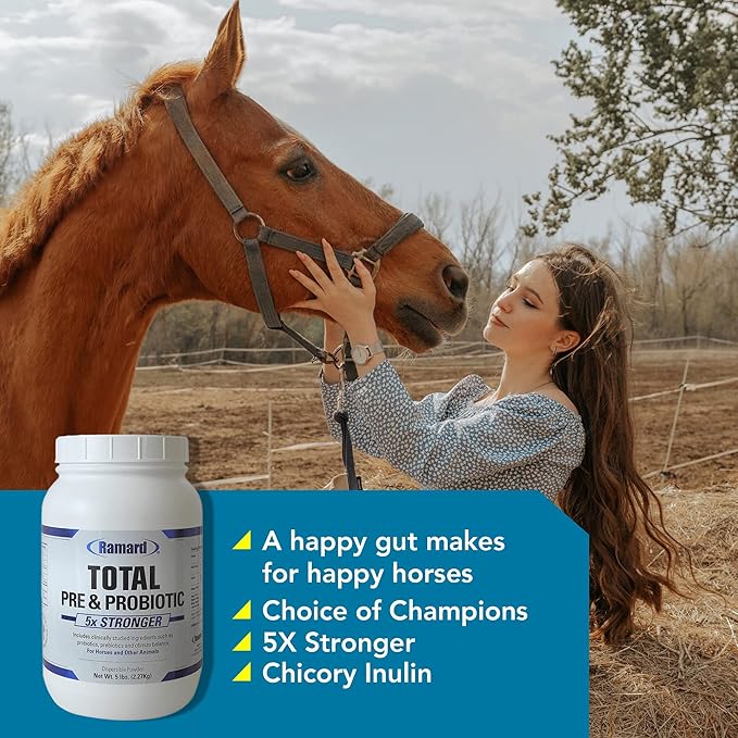 Total Prebiotic & Probiotic Equine Formula - Natural Digestive Supplement for Horses Optimal Gut Health, Nutrient Absorption, Foal Support Pro & Pre Biotics for Livestocks and Horse 5 lbs Jar