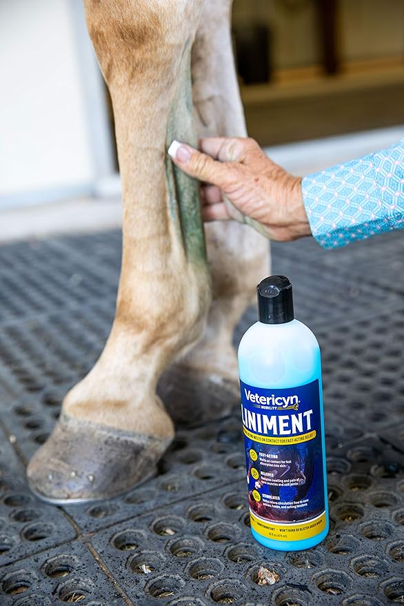 Vetericyn Equine Liniment for Fast-Acting Relief of Muscles and Joints – Menthol-Based Topical Analgesic for Horses – 16 Ounces,Blue