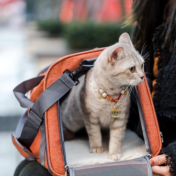 Mr. Pen- Pet Carrier, Cat Carrier, Dog Carrier, Cat Bag Carrier, Cat Travel Carrier, Soft Cat Carrier, Dog Travel Carrier, Pet Travel Carrier, Dog Soft-Sided Carriers, Cat Carrier Bag