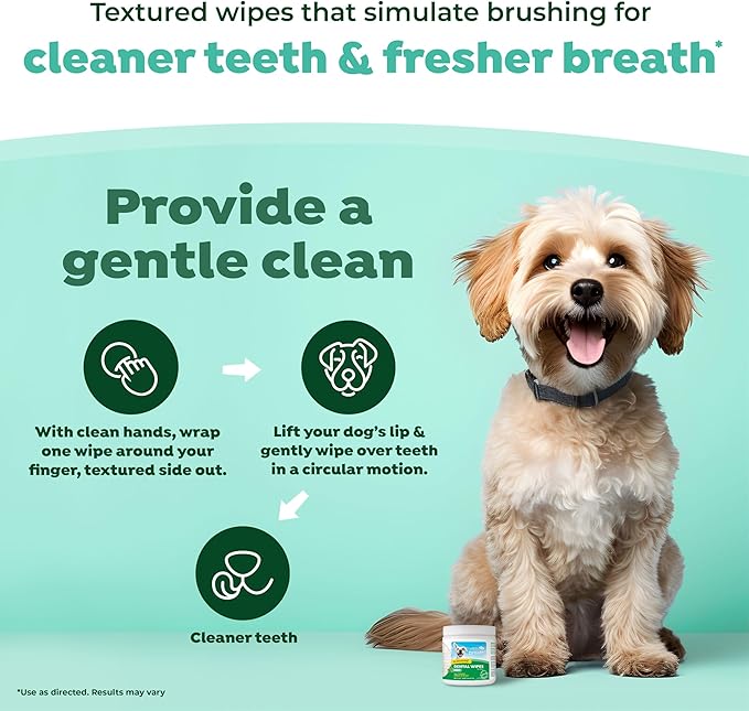 TropiClean Fresh Breath No Brushing Clean Teeth Dental & Oral Care Dental Wipes for Dogs, 50ct - Teeth Cleaning Wipes - Helps Wipe Away Plaque & Tartar - Freshens Breath - No Brushing Required