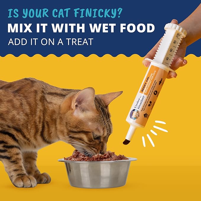 Under The Weather Pet | Ready Cal for Cats 100cc | High Calorie Supplement | Cat Weight Gainer and High Calorie Booster | 10 Vitamins, 7 Minerals & Omega Fatty Acids (for Cats 100cc)