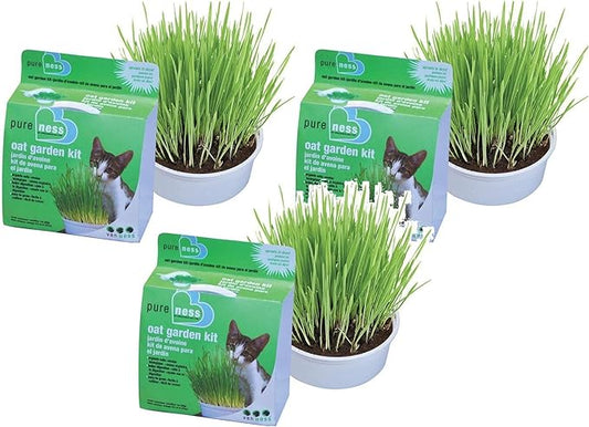 Van Ness Cat Oat Garden Kit (Set of 3)