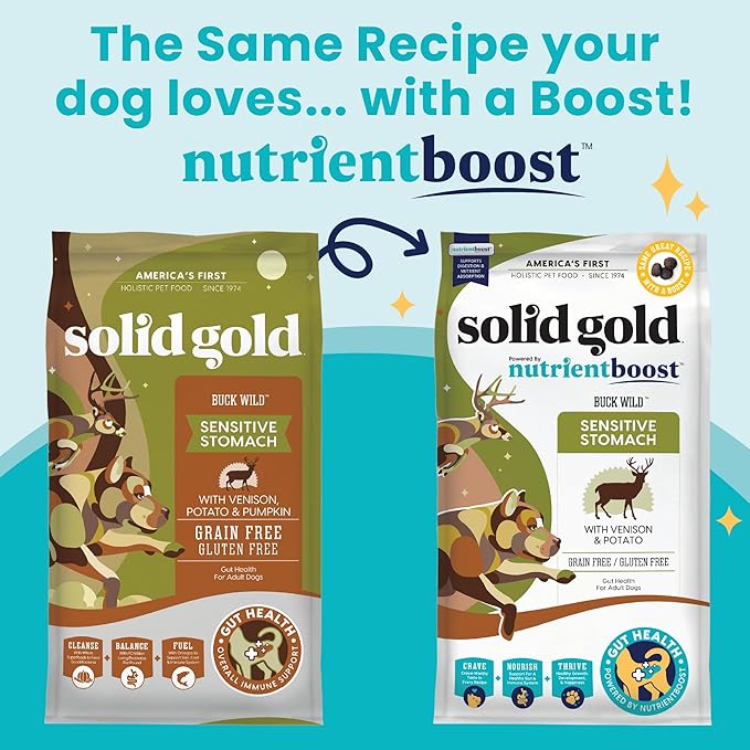 Solid Gold Dry Dog Food for Adult & Senior Dogs - Made w/Real Venison, Potato, & Pumpkin - Nutrientboost Buck Wild Sensitive Stomach Dog Food for Protein Sensitivities & Gut Health - 22 LB