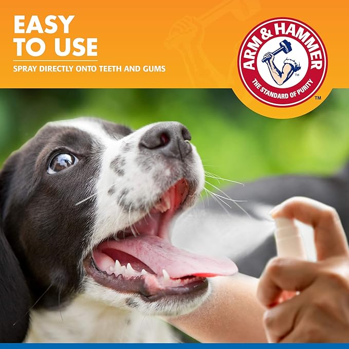 Arm & Hammer for Pets Tartar Control Dental Spray for Dogs | Dog Dental Spray Reduces Plaque & Tartar Buildup Without Brushing | Mint Flavor, 4 Ounces (Pack of 24)