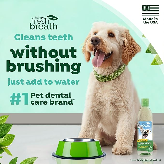 TropiClean Fresh Breath for Dogs | Dog Breath Water Additive | Dental Care | Dog Breath Freshener | Simple Pet Teeth Cleaning | Made in USA | 16 oz