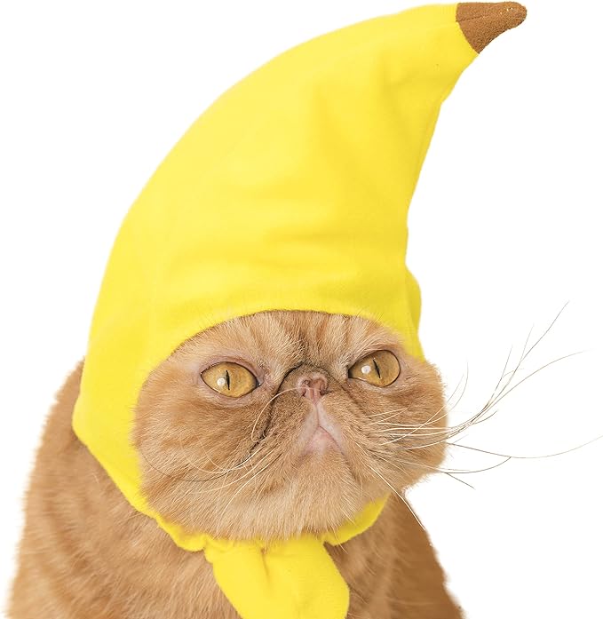 Kitan Club Cat Cap - Pet Hat Blind Box includes 1 of 6 Cute Styles - Soft, Comfortable - Authentic Japanese Kawaii Design - Animal-Safe Materials, Premium Quality (Fruit)
