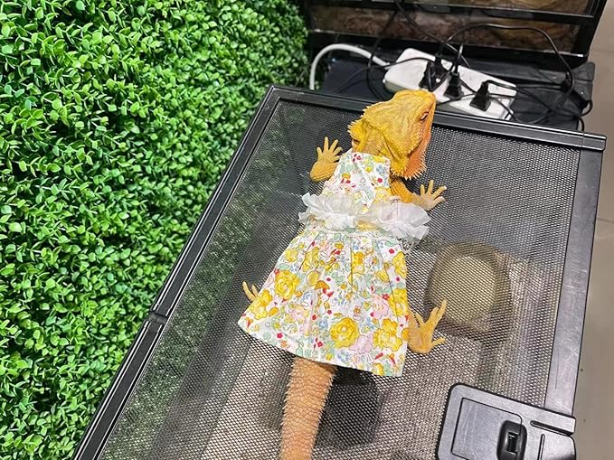 Lizard Dress for Bearded Dragon - Handmade Cotton Tutu Skirt with Lace Princess Sundress Halloween Costume Photo Cosplay Party for Reptile Lizard Bearded Dragon Crested Gecko Chameleon (M, Yellow)