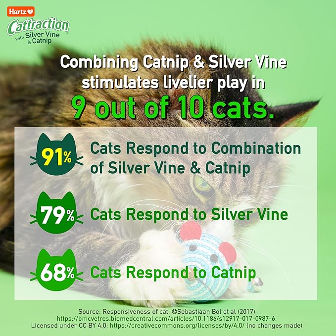 Cattraction with Silver Vine & Catnip Cat Toy Variety Pack, 20 Count