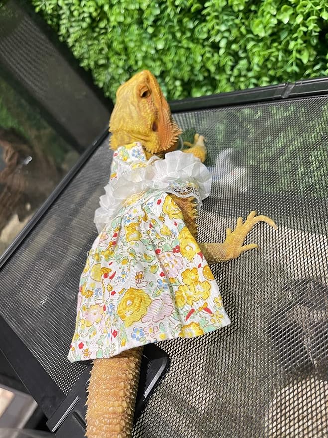 Lizard Dress for Bearded Dragon - Handmade Cotton Tutu Skirt with Lace Princess Sundress Halloween Costume Photo Cosplay Party for Reptile Lizard Bearded Dragon Crested Gecko Chameleon (M, Yellow)