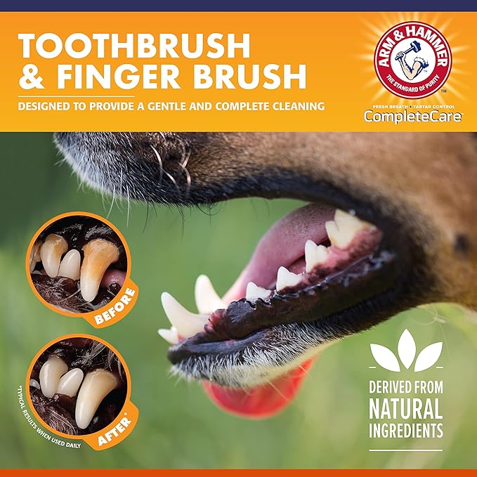 Arm & Hammer Complete Care Dog Dental Kit | 2.5oz Chicken Flavored Dog Toothpaste, Double Side Dog Toothbrush, Rubber Dog Finger Brush| Arm & Hammer Baking Soda Enhanced Formula