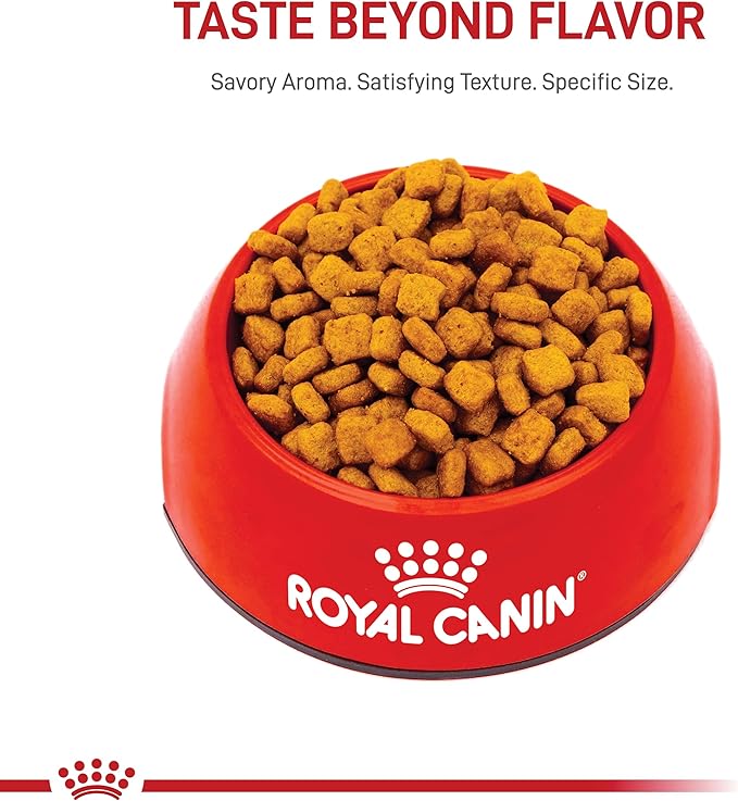 Royal Canin Dachshund Adult Breed Specific Dry Dog Food, 10 Lb bag