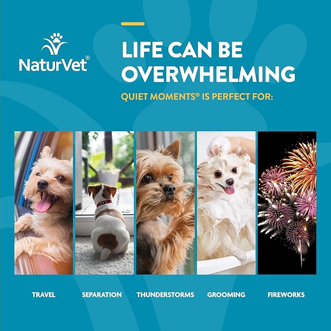 NaturVet Quiet Moments Calming Aid Dog Supplement, Helps Promote Relaxation, Reduce Stress, Storm Anxiety, Motion Sickness for Dogs (Quiet Moments Melatonin, 60 Soft Chews)