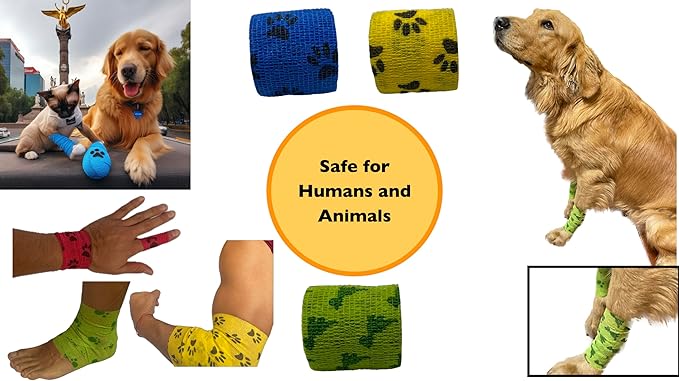 AURPET Self Adhesive Bandage Wrap Strong Vet Tape for Medical Wrap, Best Dog Bandages for Wounds or Dog First Aid Cohesive Bandage wrap Sports wrap Self Stick Bandage wrap (Green)