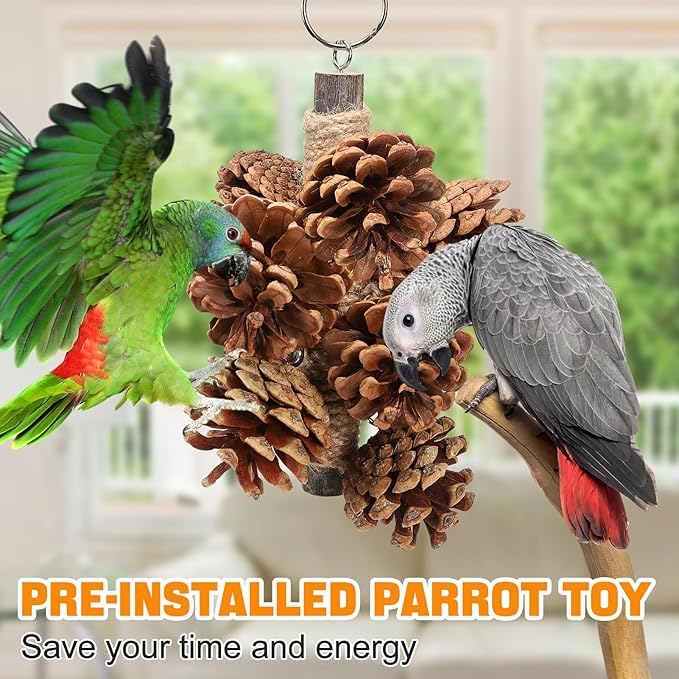 Bird Toys Parrot Toys - Bird Chewing Toy with Natural Pine Cones for Small and Medium-Sized Parakeets Cockatiels Conures Lovebirds Cockatoos African Grey Amazon Parrots