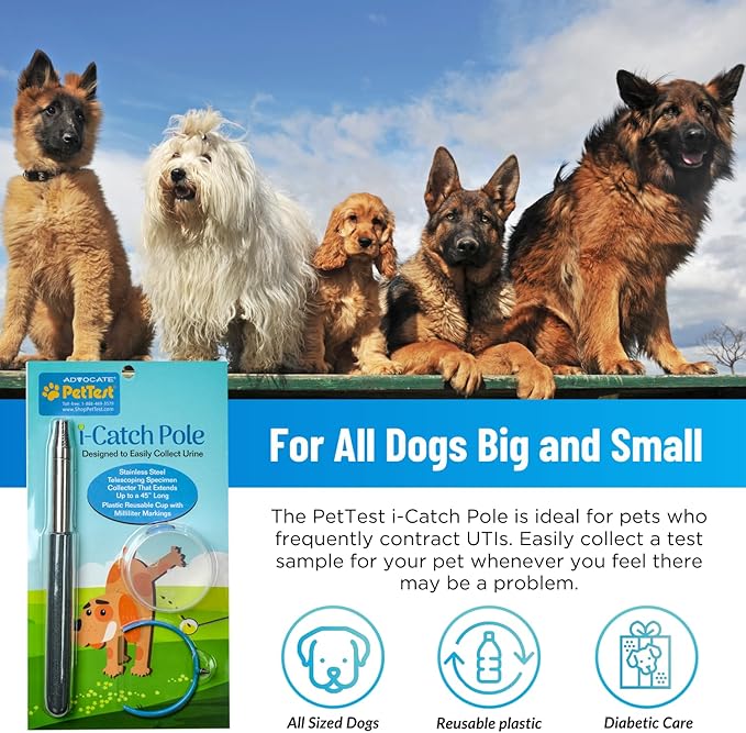 PetTest Pet Ketone and Glucose Test Strips with Urine Catcher Telescoping Pole - 50 Strips for Fast Urine Testing of Cats & Dogs with Extendable Urine Catcher up to 45" - Home kit for Pet Ketone Level