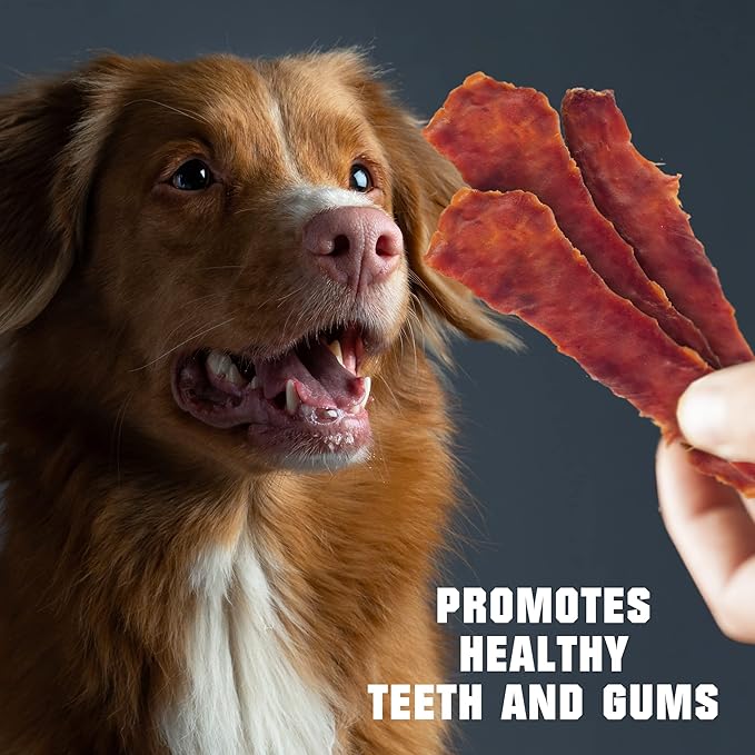 Duck Jerky Dog Treats - Human Grade Pet Snacks - Natural High Protein Meat Dried Strips - Best Chews for Training Small & Large Dogs - Bulk Soft Pack