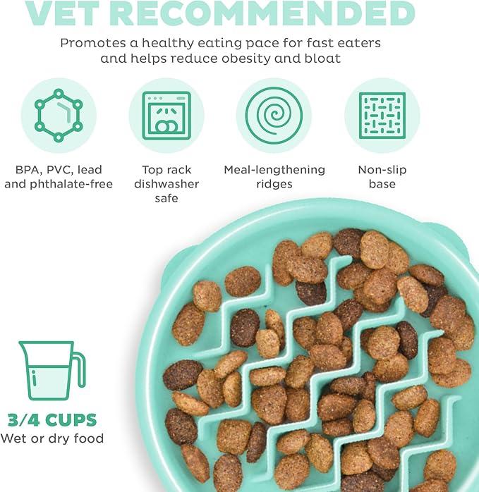 Outward Hound Fun Feeder Slo Bowl, Slow Feeder Dog Bowl, Small/Tiny, Mint