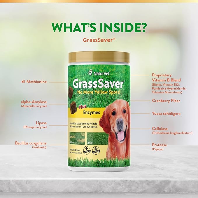 NaturVet – GrassSaver Supplement for Dogs – Healthy Supplement to Help Rid Your Lawn of Yellow Spots – Synergistic Combination of B-Complex Vitamins & Amino Acids – 240 Soft Chews