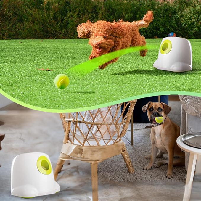 ALL FOR PAWS Dog Ball Launcher Automatic,Automatic Ball Launcher for Dogs,Ball Thrower for Dogs,Dog Toys Interactive,includes 3pcs Tennis Balls for Dogs