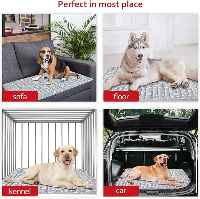 Dog Crate Mat (36" X 23") 2 Pack, Soft Dog Bed Mat with Cute Stars, Personalized Dog Crate Pad, Anti-Slip Bottom, Machine Washable Kennel Pad, Grey