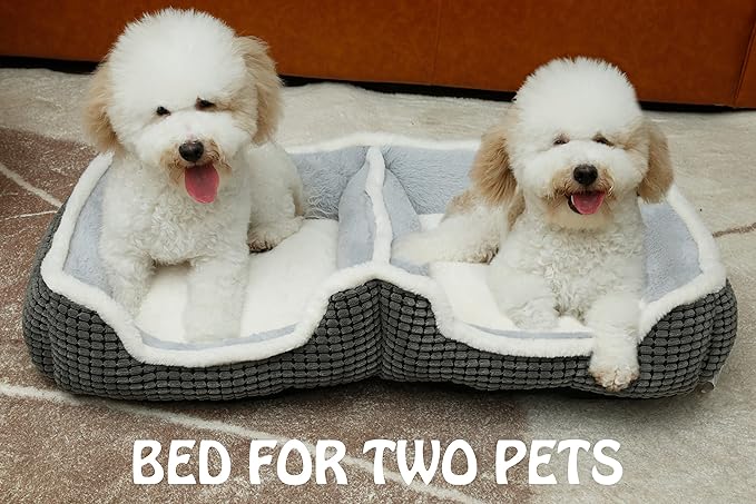 Dog Beds for Two Small Dogs, Double Cat Beds for Indoor Cats, Super Soft Washable Cat Bed with Anti-Slip & Water-Resistant Bottom, Luxury Durable Kitten Bed Puppy Bed, Rectangle Grey Animal Pet Beds