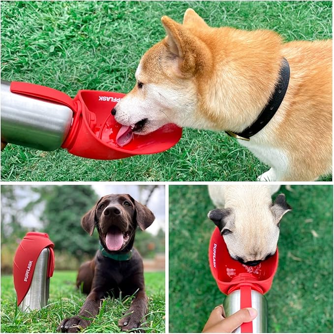 PupFlask Large Dog Water Bottle | 27 or 40 OZ Stainless Steel | Convenient Dog Water Dispenser | Puppy Travel Water Bowl | Portable Pet Water Bottle | Leak Proof Bottle Perfect Size For All Dog Breeds