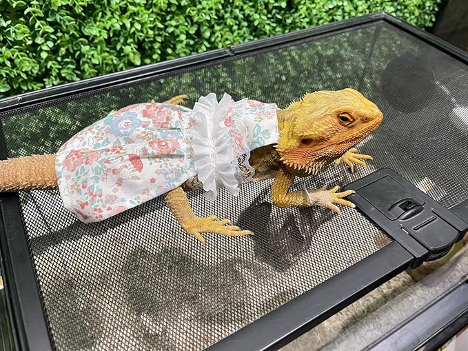 Lizard Dress for Bearded Dragon - Handmade Cotton Tutu Skirt with Lace Princess Sundress Halloween Costume Photo Cosplay Party for Reptile Lizard Bearded Dragon Crested Gecko Chameleon (M, Pink)