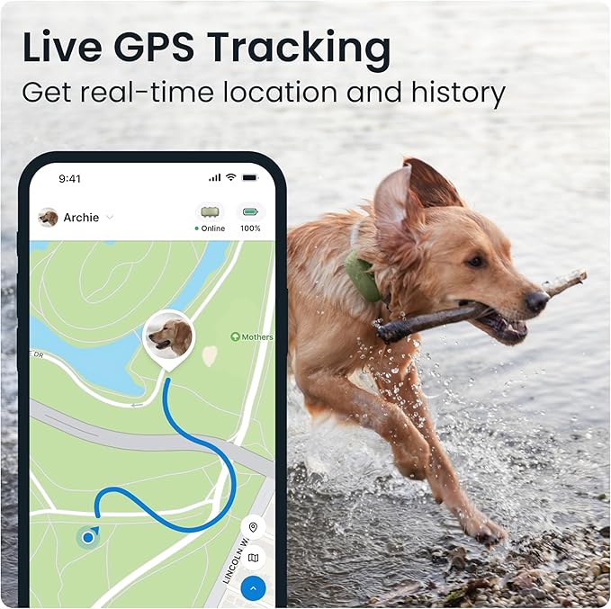 Tractive XL GPS Tracker & Health Monitoring for Dogs (50 lbs+) - Market Leading Pet GPS Location Tracker | Wellness & Escape Alerts | Waterproof | Works with Any Collar (Green)