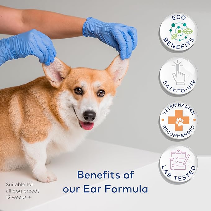 Dog Ear Cleaner Wipes - Cleanser for Dogs - Ear Itching, Dissolves Wax, Dirt & Odor with Coconut Oil & Aloe Vera (50 Finger Wipes)