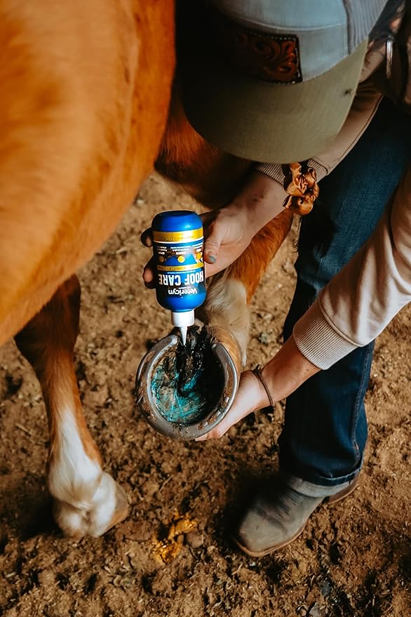 Vetericyn Equine Hoof Care for Sole and Frog Damage Caused by Thrush, White Line Separation, and Seedy Toe – 8 Ounces