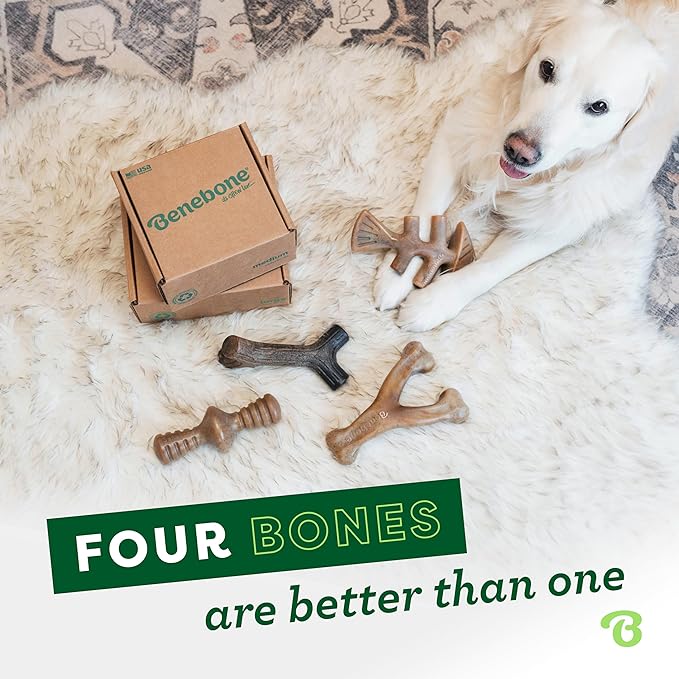 Benebone Medium 4-Pack Dog Chew Toys for Aggressive Chewers, Made in USA, 60lbs and Under