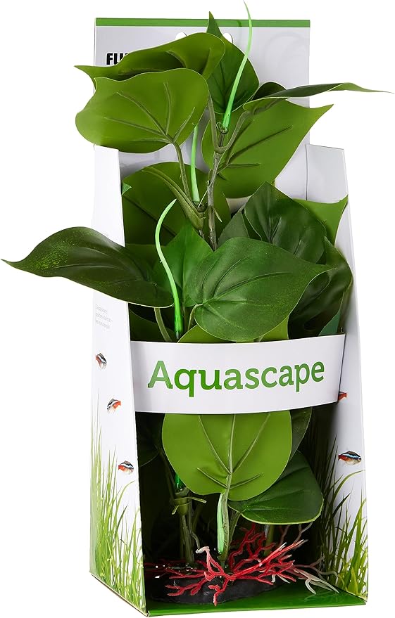 Fluval Anubias Plant for Aquarium, 12-Inch