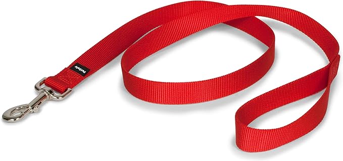 PetSafe Nylon Dog Leash – Strong, Durable, Traditional Style Leash with Easy to Use Bolt Snap – 1" x 4', Red