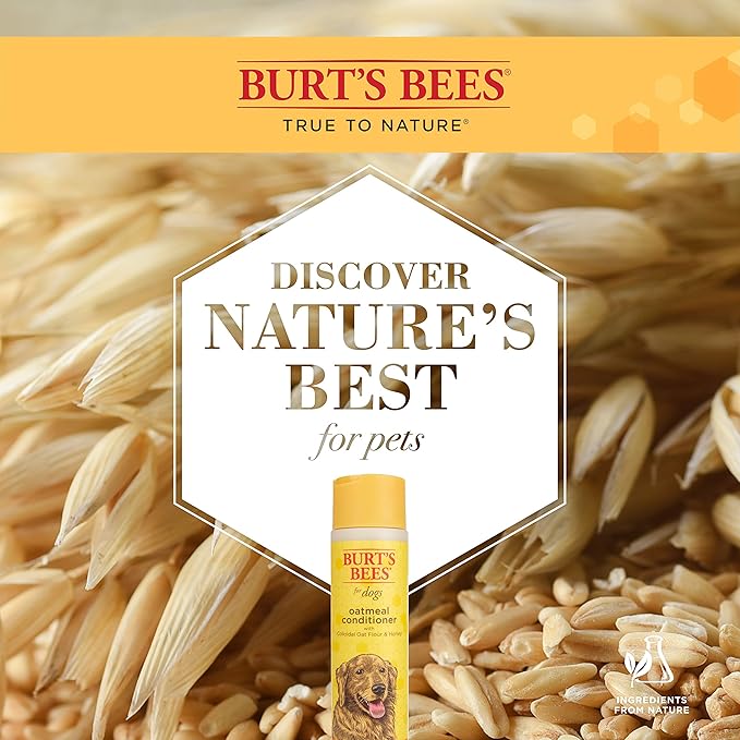 Burt's Bees for Pets Naturally Derived Oatmeal Conditioner with Colloidal Oat Flour & Honey - Dog Oatmeal Shampoo - Cruelty Free, Made in the USA - 10 Oz - 2 Pack