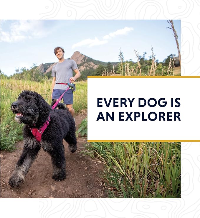 Ruffwear, Just-a-Cinch Dog Leash, 2-in-1 Lead Collar Combination, Lichen Green